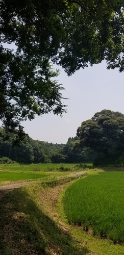 20180626_120535.jpg