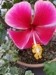 20201014_082552.jpg