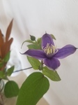 20201017_082603.jpg