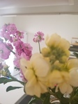 20210222_082036.jpg